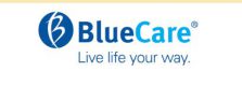 bluecare-logo